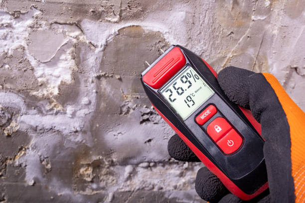Best Mold Damage Repair  in Spring Valley, NY