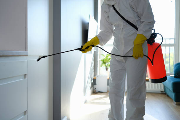 Best Residential Mold Removal  in Spring Valley, NY