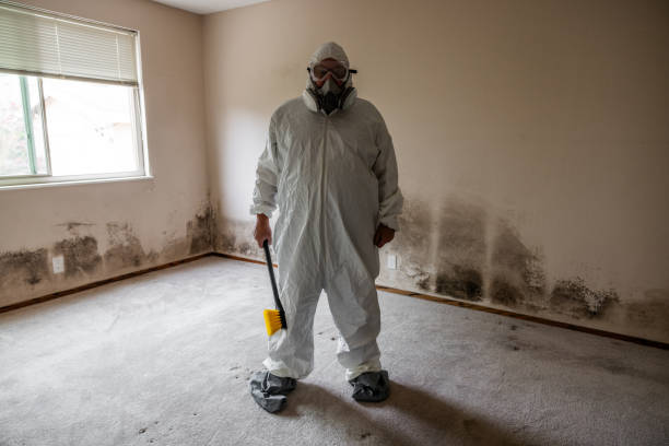 Water Damage Restoration in Spring Valley, NY
